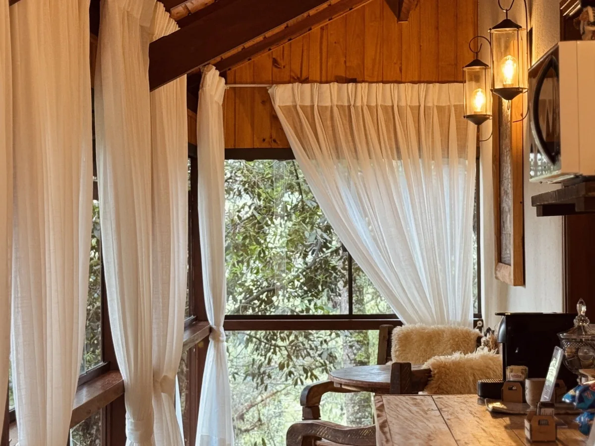 Cabana Pinus - foto 5